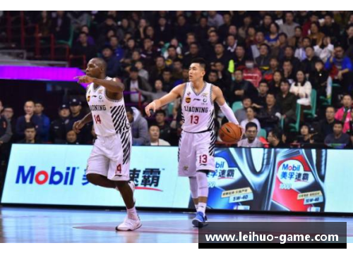 辽宁CBA球员阵容：探寻胜利之路