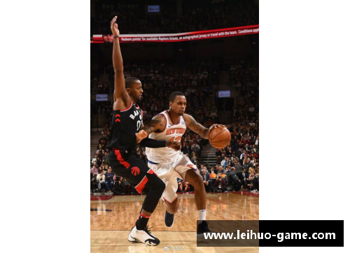 NBA新秀：登顶篮球世界的崭新风云
