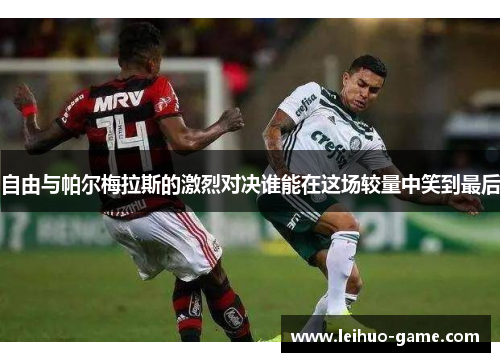 自由与帕尔梅拉斯的激烈对决谁能在这场较量中笑到最后